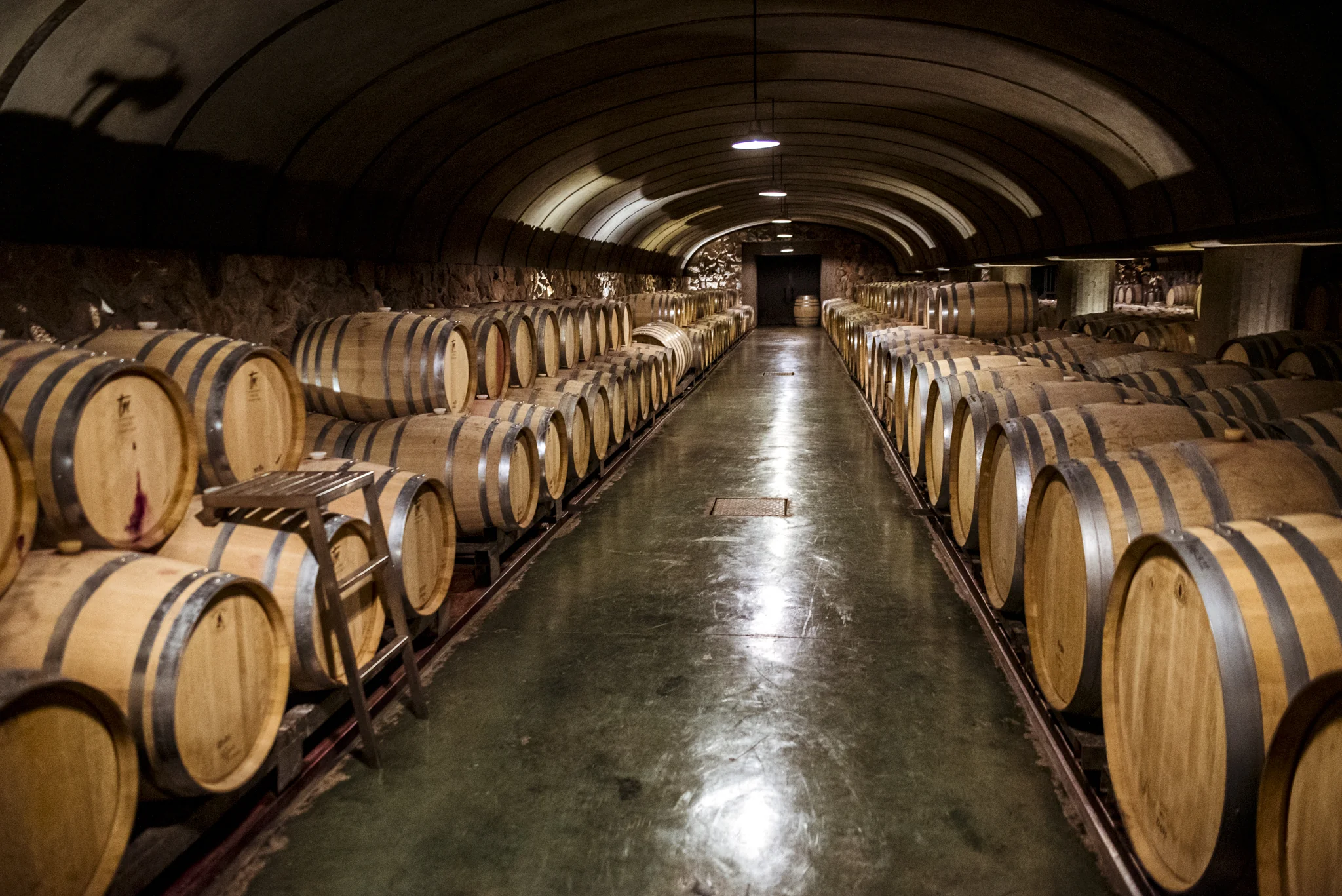 Tour Bodegas Tendencia Valle de Uco Mendoza