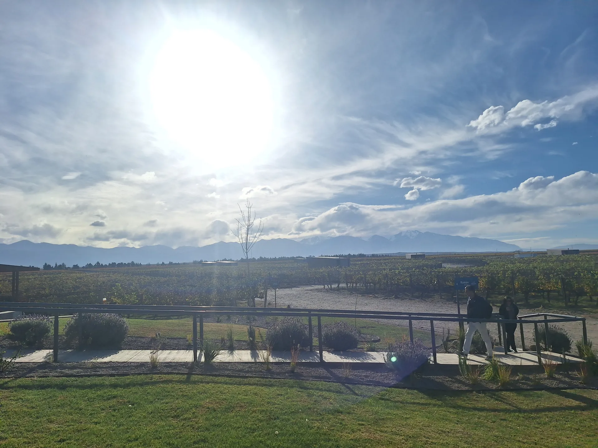 Verano en bodegas de Mendoza
