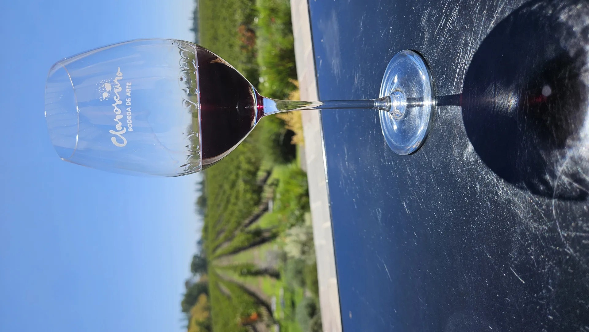 The Wine Roads of Mendoza — Free Travel Guide