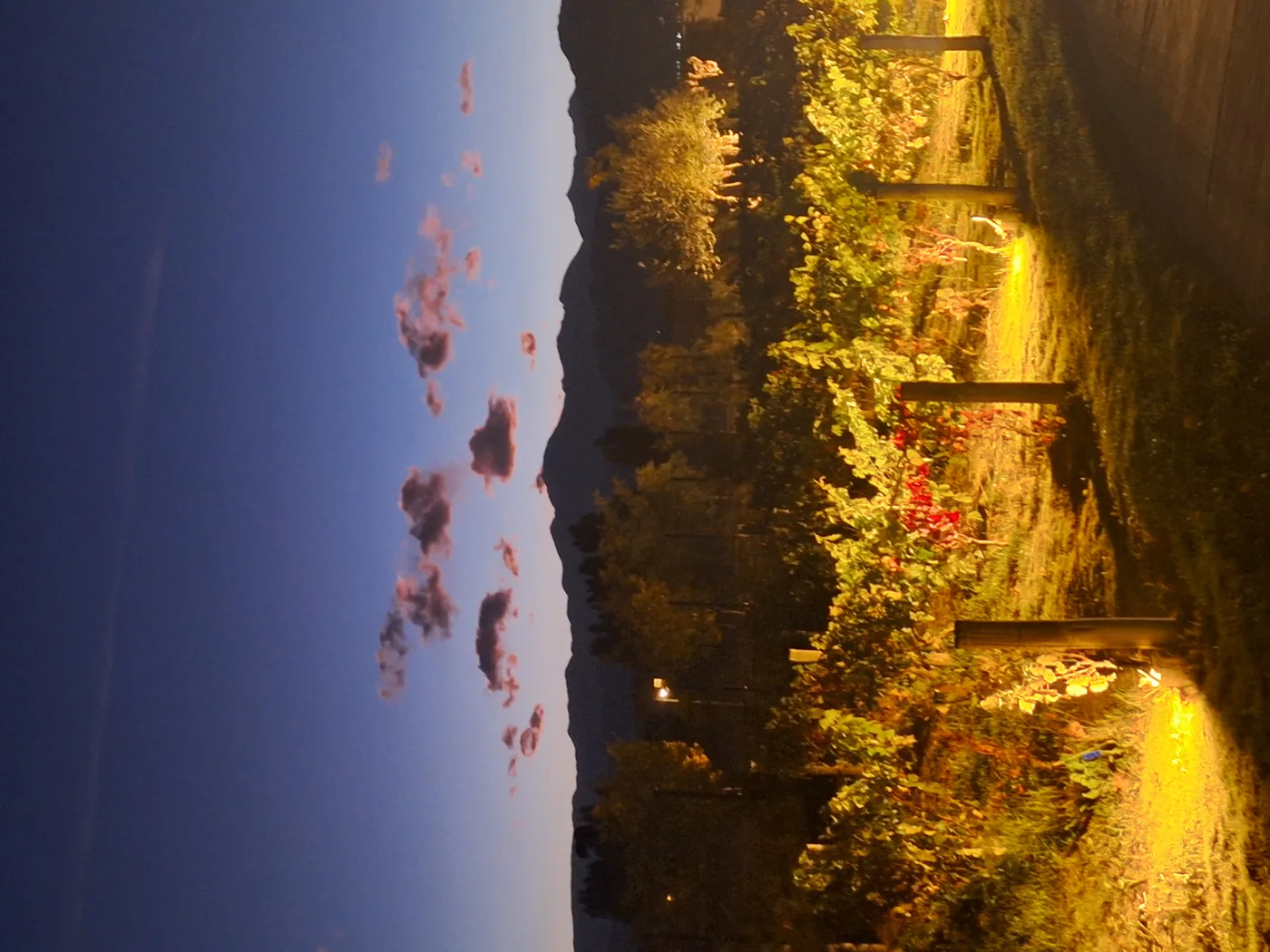 Bodegas Tendencia - Valle de Uco