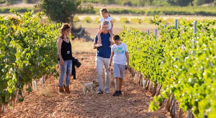 Tour en familia bodegas Mendoza con niños y realidad virtual