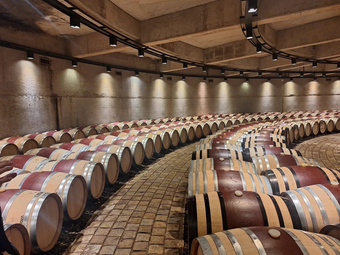 Vinos Icónicos y Premiados