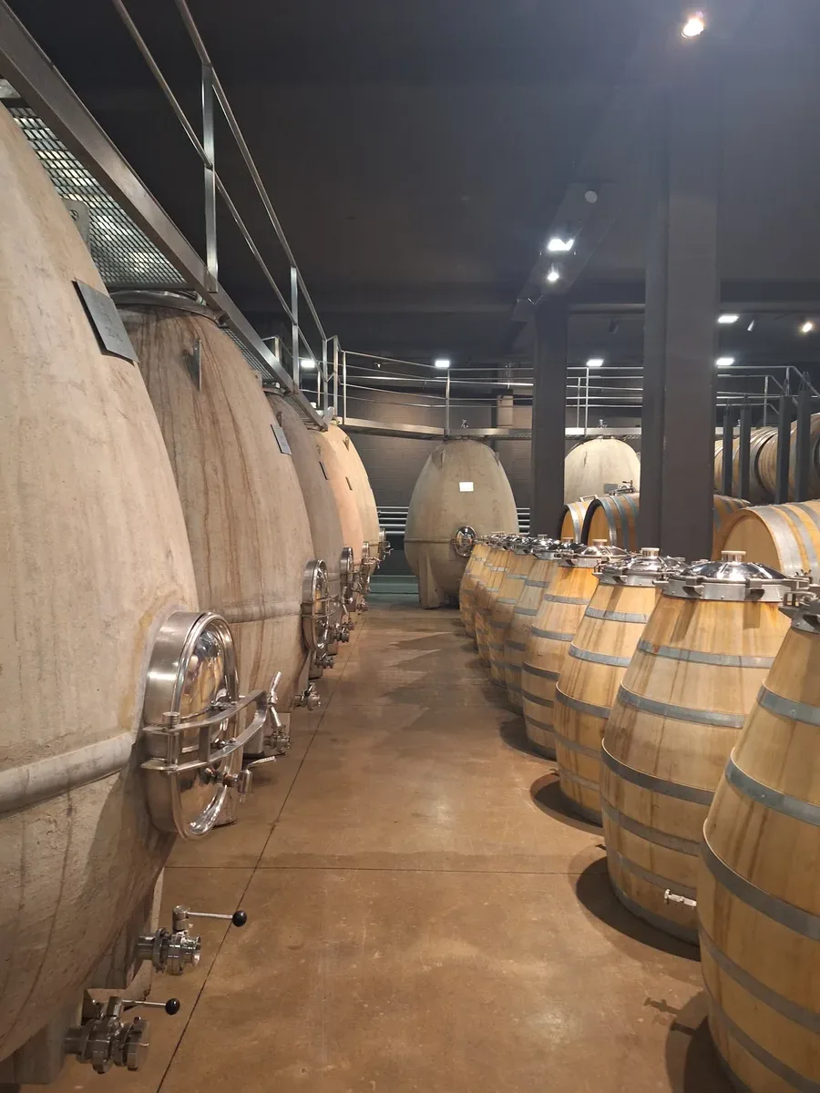 Bodega Mendoza