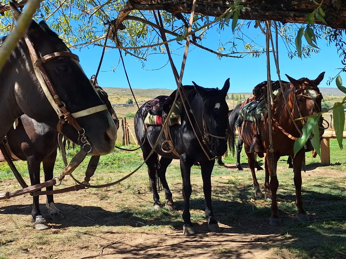 Cabalgata Valle de Uco