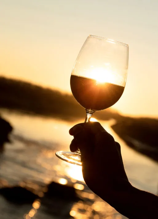 Vinos Icónicos y Premiados — Catena Zapata