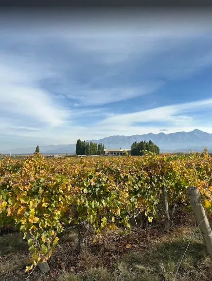 Uco Valley Trendy Wineries