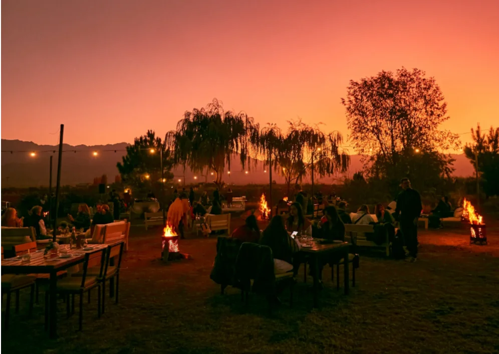 Atardecer en bodegas Mendoza tapas y vinos
