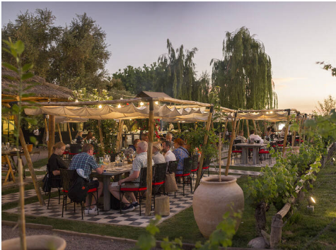 Terraza con mesas y luces cálidas al atardecer, entre viñedos