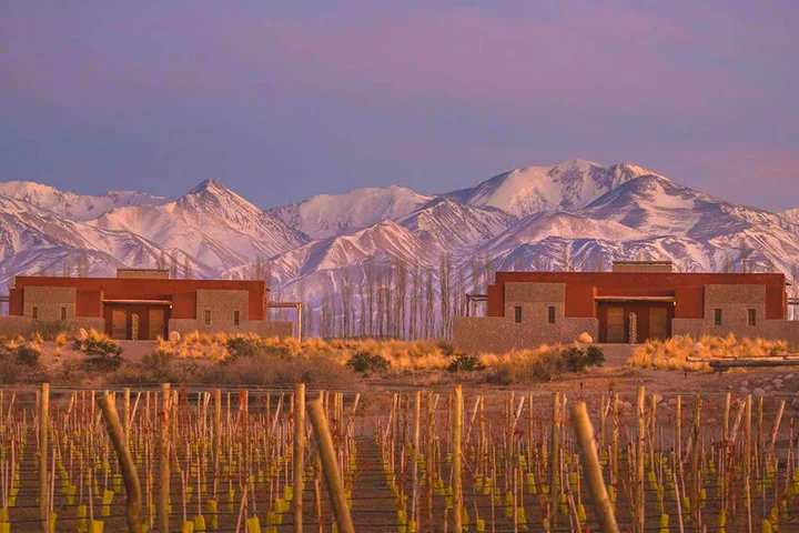 Lodge entre viñedos con la cordillera nevada de fondo