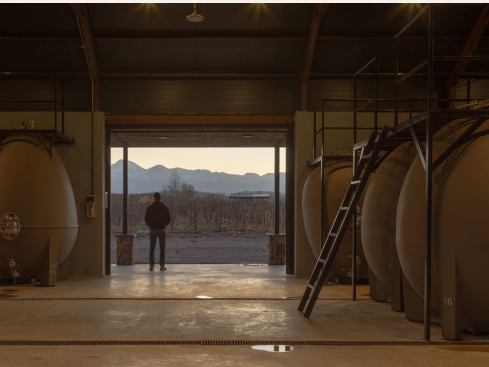 Persona contemplando la cordillera desde el interior de una bodega, al atardecer