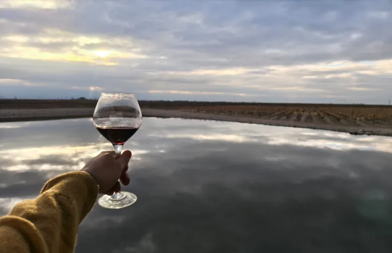 Paquete 3 Días Mendoza bodegas termas cordillera