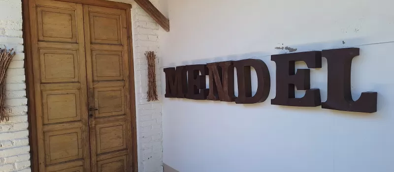 Mendel fte