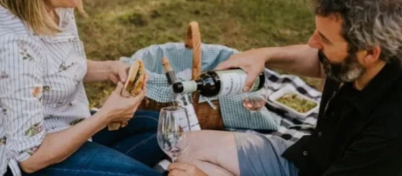 Pic nic 3