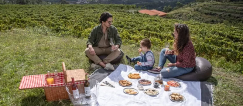 Pic Nic 1