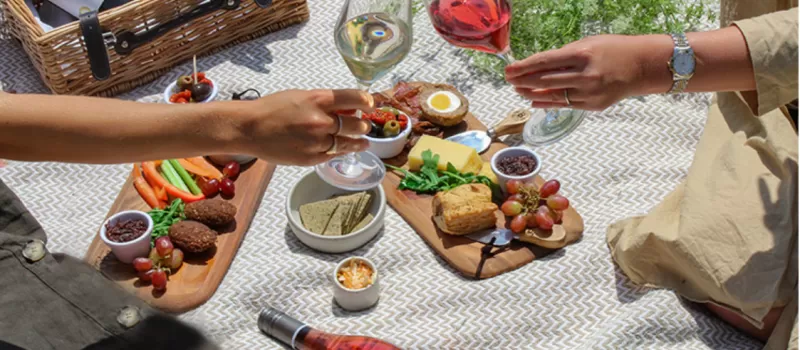 Pic nic 2