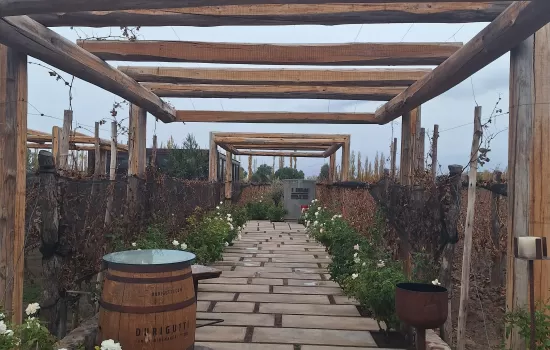 Boutique Wineries