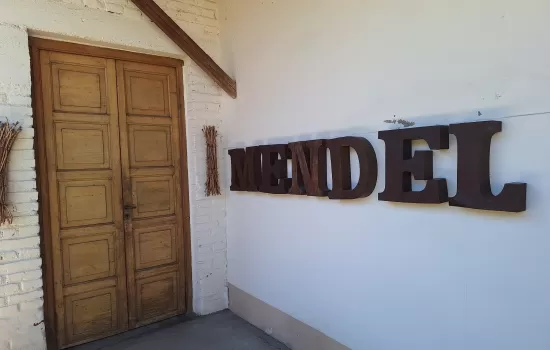 Boutique Wineries