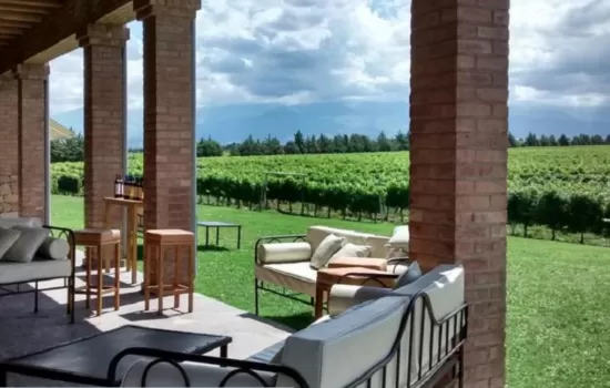 Winery Pic Nic
