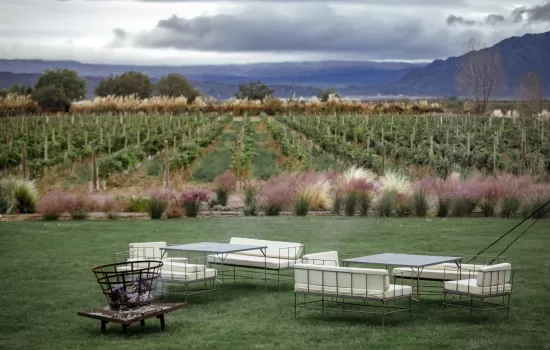 Winery Pic Nic