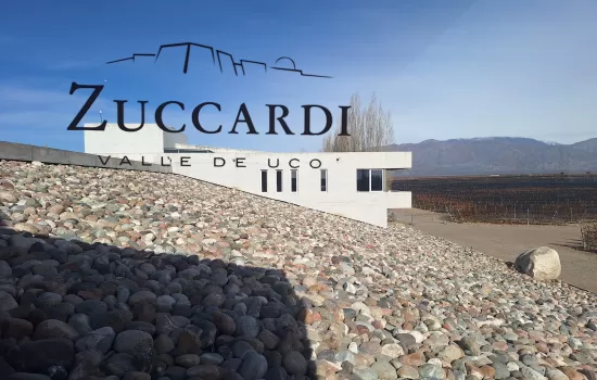 Zuccardi